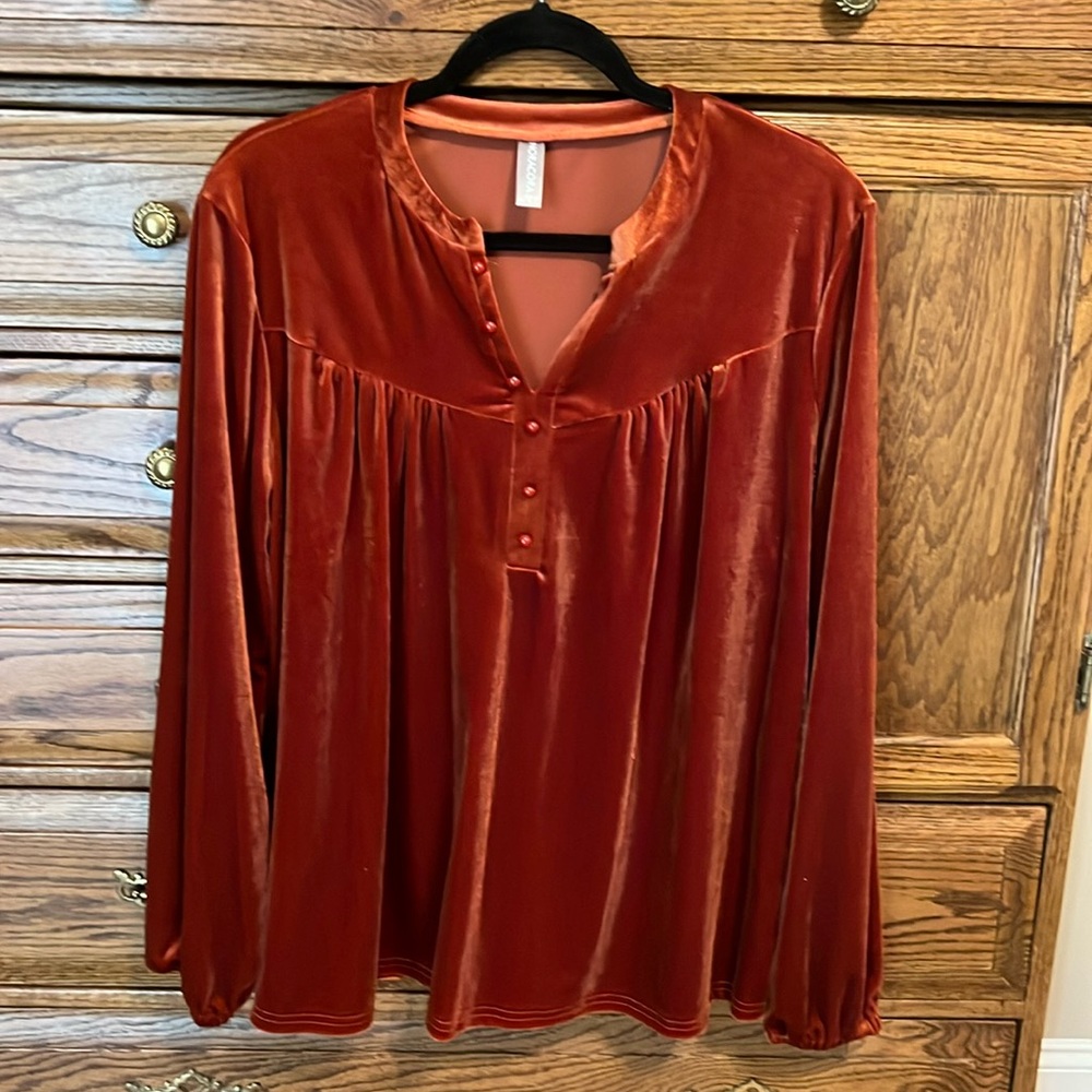NORACORA Size Large Rust Velvet Type Top